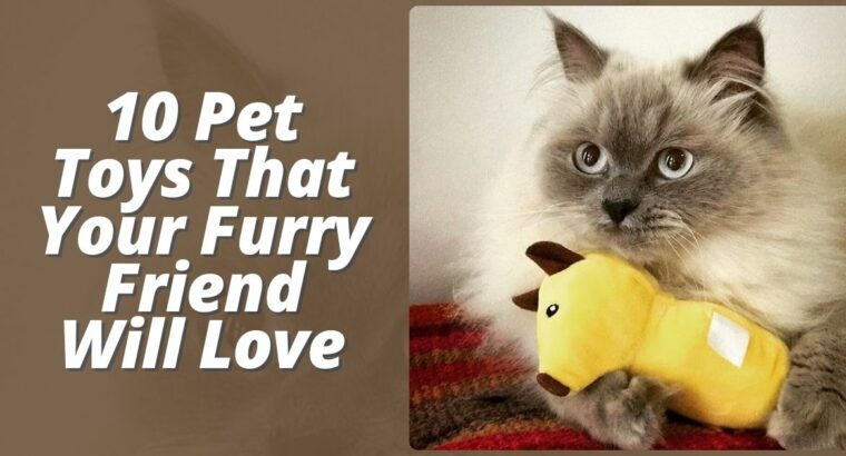 Top 10 Pet Toys That Your Furry Friend Will Love