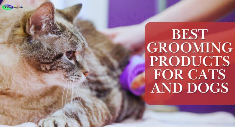 Best Grooming Products for Cats and Dogs: A Complete Guide for Pet Parents